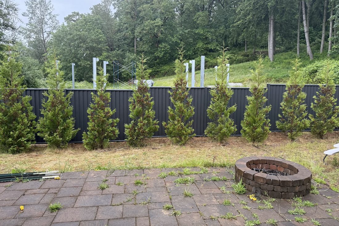 Dark metal fence along a backyard tree line